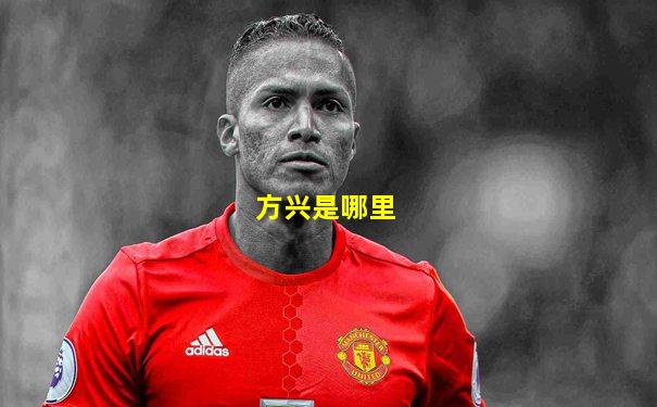 方兴是哪里