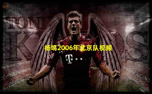 杨鸣2006年北京队视频