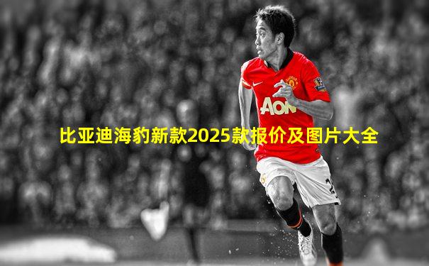 比亚迪海豹新款2025款报价及图片大全