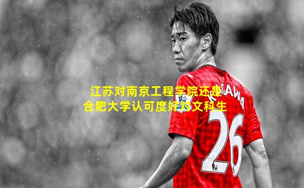 江苏对南京工程学院还是合肥大学认可度好对文科生