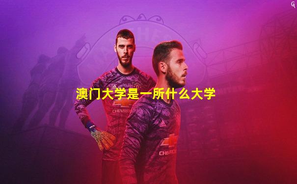 澳门大学是一所什么大学
