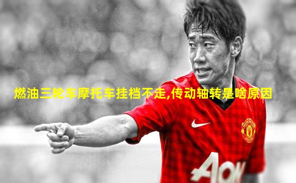 燃油三轮车摩托车挂档不走,传动轴转是啥原因