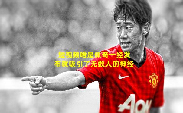 短视频啥是佩奇一经发布就吸引了无数人的神经