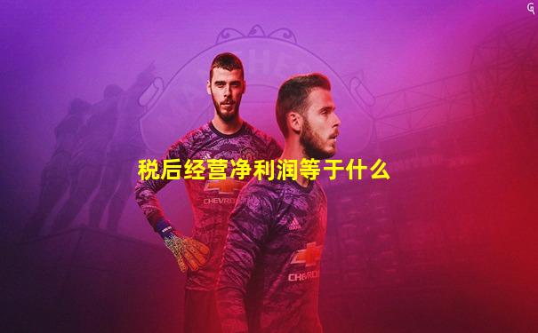 税后经营净利润等于什么