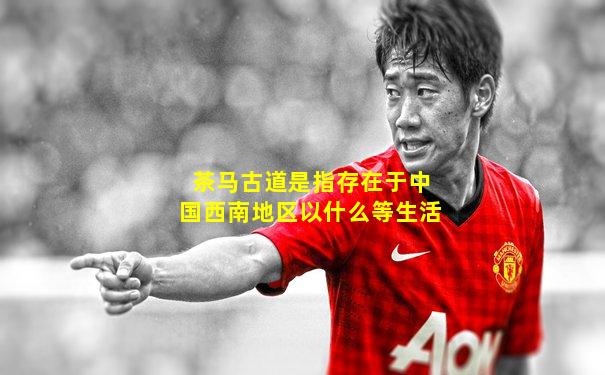 茶马古道是指存在于中国西南地区以什么等生活