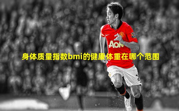 身体质量指数bmi的健康体重在哪个范围