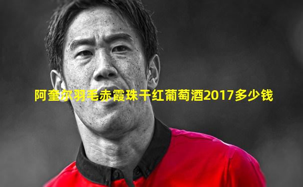 阿奎尔羽毛赤霞珠干红葡萄酒2017多少钱
