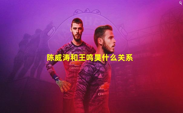 陈威涛和王鸣昊什么关系