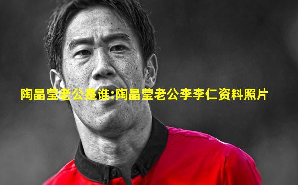 陶晶莹老公是谁:陶晶莹老公李李仁资料照片