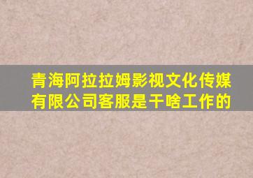 青海阿拉拉姆影视文化传媒有限公司客服是干啥工作的