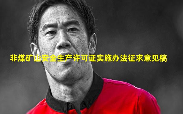 非煤矿山安全生产许可证实施办法征求意见稿