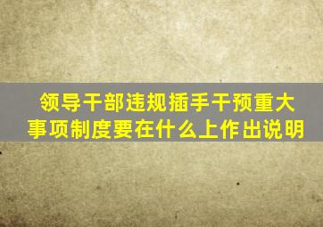 领导干部违规插手干预重大事项制度要在什么上作出说明